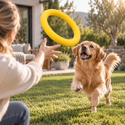 Interactive Dog Pull Ring Toy